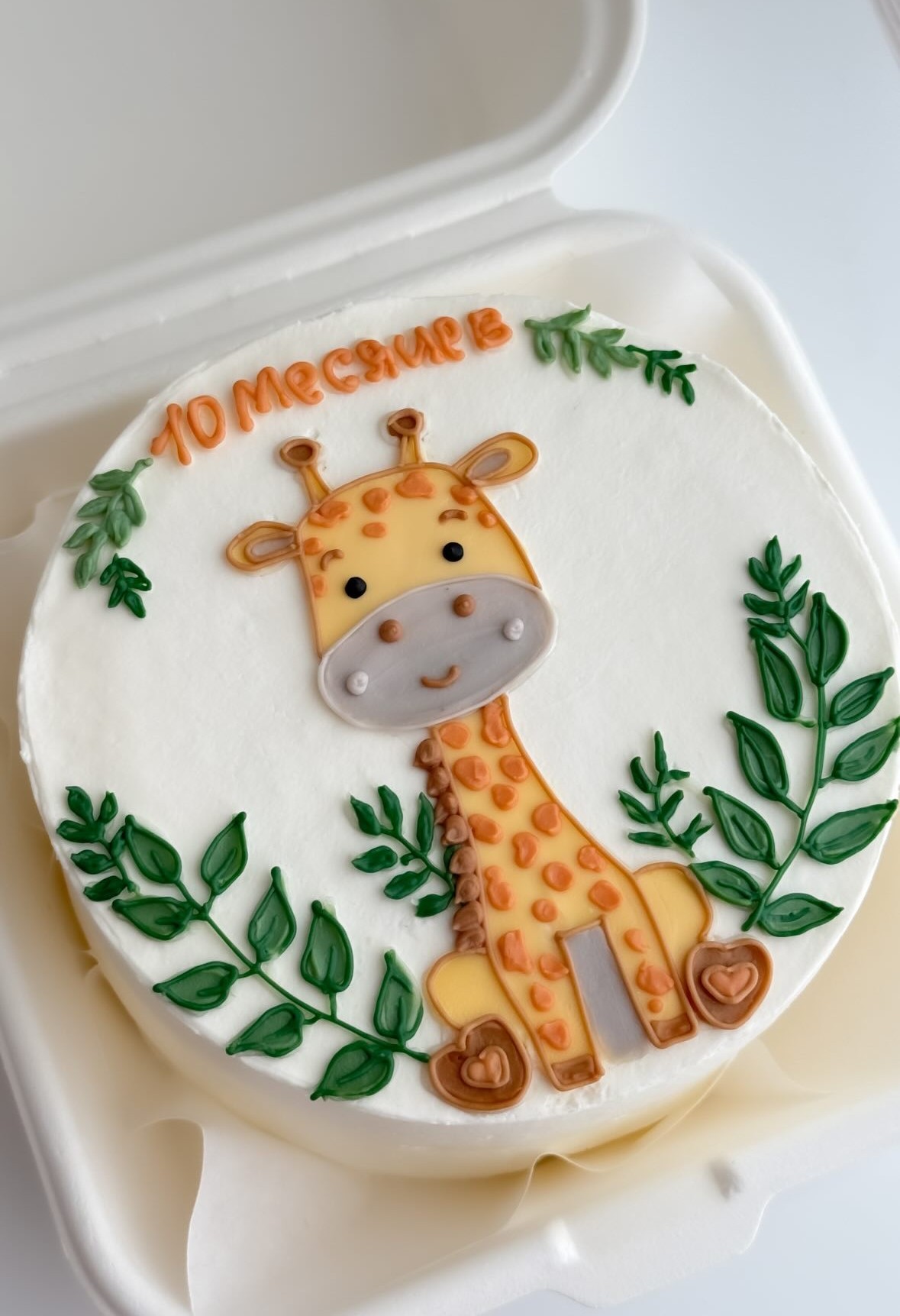 Bento tort Baby 10 months - Tort sifarişi