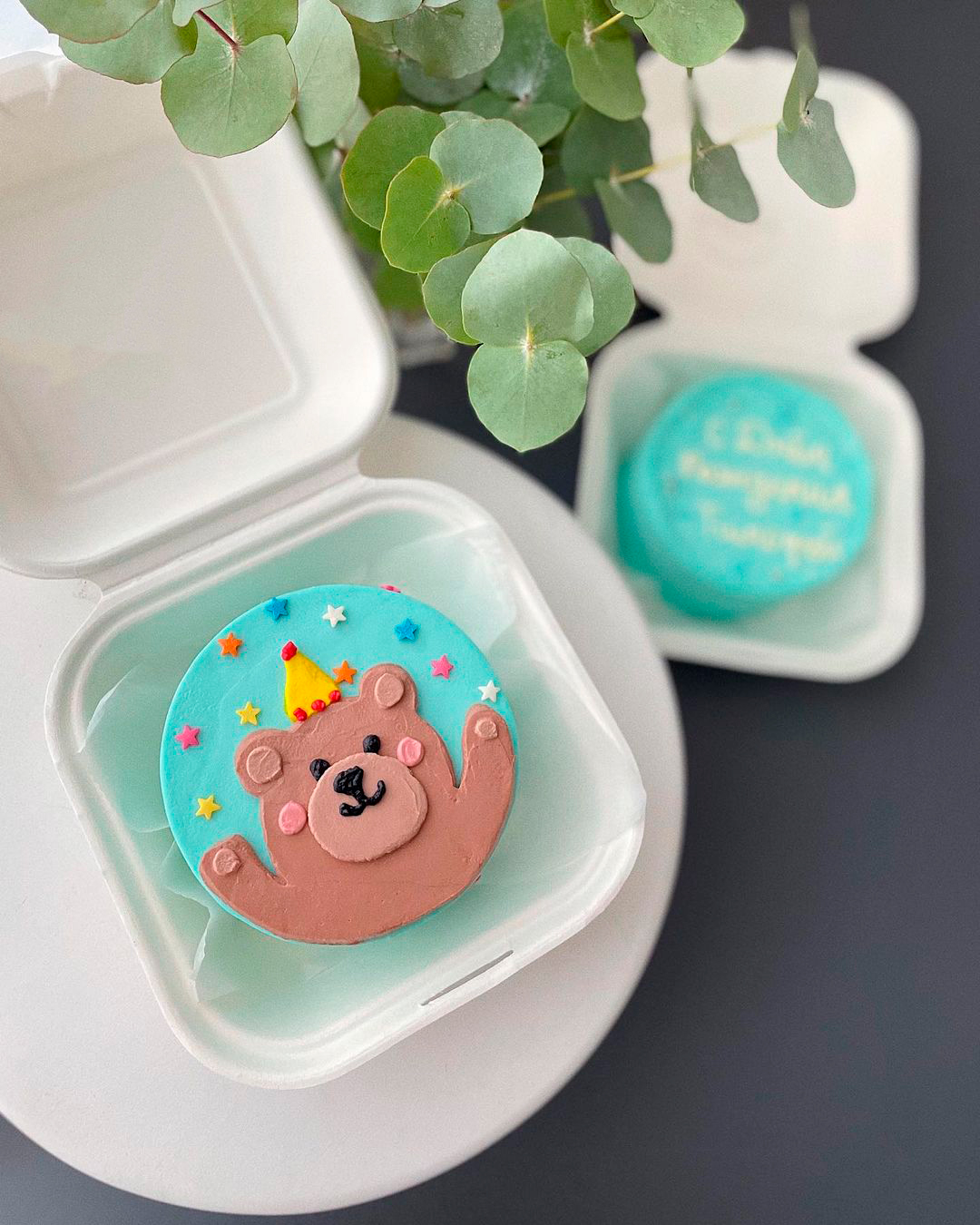Bento tort Bear - Tort sifarişi