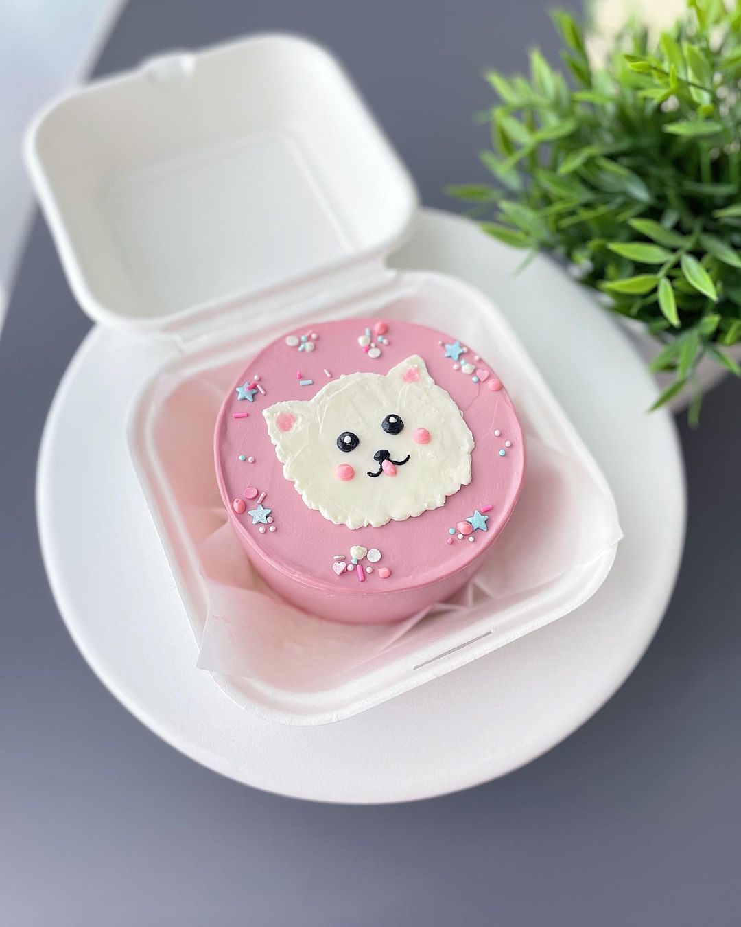 Bento tort Cat - Tort sifarişi